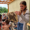Obrázek k článku Muzeum másla a včely ve Výzkumném ústavu včelařském