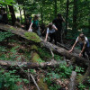 Obrázek k článku AG v lese – o pěším Slovensku 2020